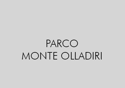 PARCO MONASTIR