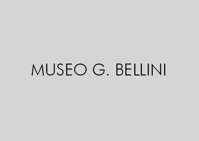 MUSEO BELLINI ASOLA