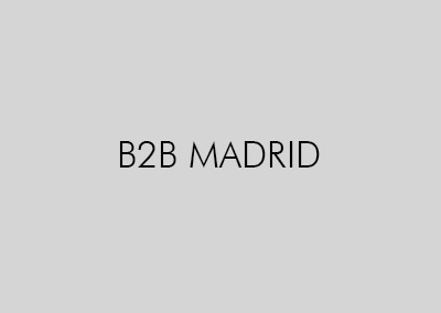 B2B MADRID 2025
