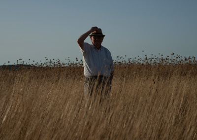 SABORIS ANTIGUS 2025